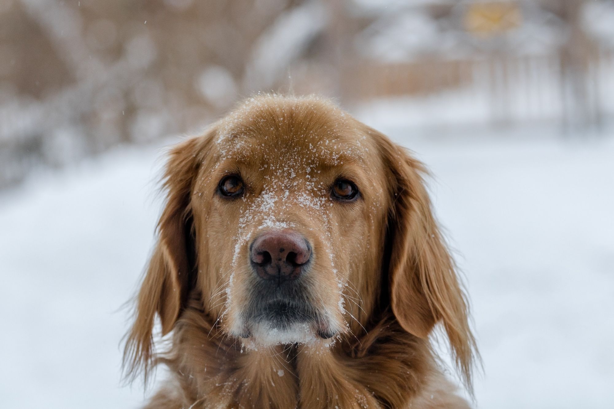Brrr ....che freddo!!