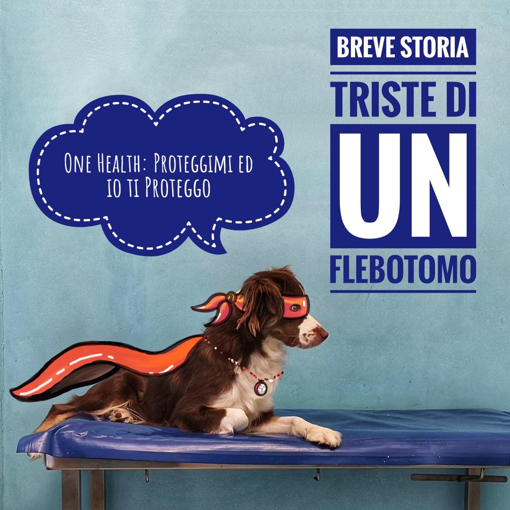 Breve storia triste di un flebotomo